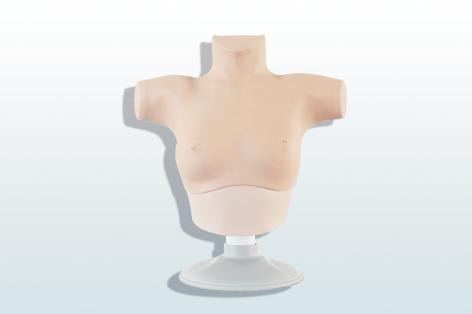 乳腺癌觸診、視診訓練模型