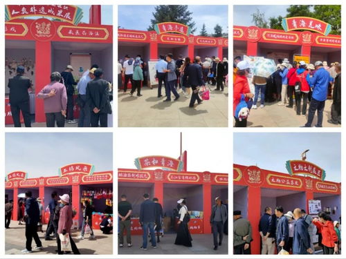 多彩非遺薈萃 傳統(tǒng)文化彰顯時(shí)代魅力——2023年青海省文化和自然遺產(chǎn)日暨非遺購(gòu)物節(jié)圓滿落幕